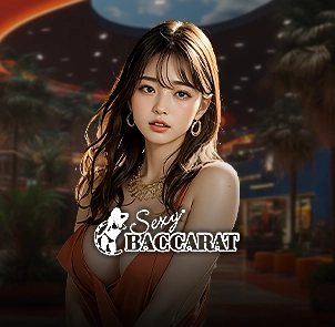 섹시바카라 카지노